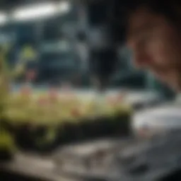 Microscopic analysis in high-tech lab