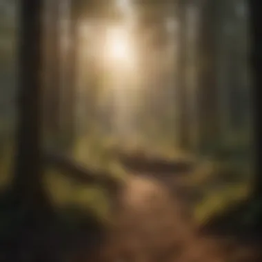 Sunlight filtering through dense forest highlighting biomass importance