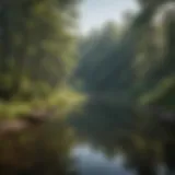 A serene view of a boater's landing surrounded by lush forests and waterways.