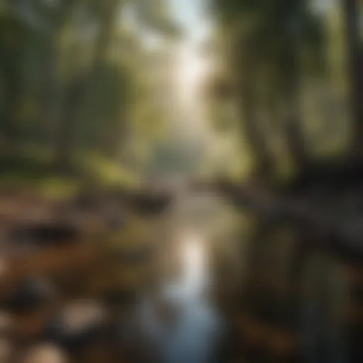 Serene view of Boiling Springs State Park Campground