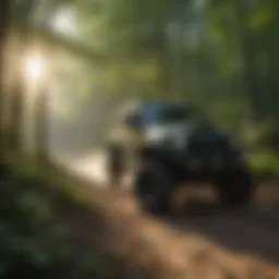 A breathtaking view of Brushy Mountain OHV trails surrounded by lush greenery