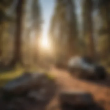 Wildlife in a Utah campsite area