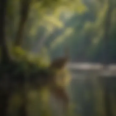 Diverse Wildlife in Caney Lake State Park Wildlife thriving in the diverse ecosystems of the park