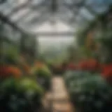 A vibrant greenhouse filled with diverse plant species