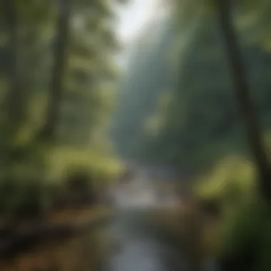 Cherokee landscape with lush forests and rivers