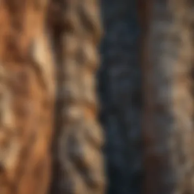 Close-up of the geological layers of Chimney Rock