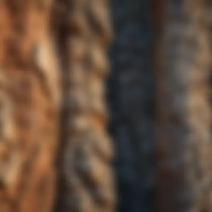 Close-up of the geological layers of Chimney Rock