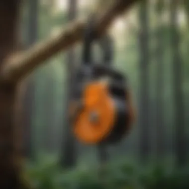 High-Quality Pulleys for Arboriculture Work