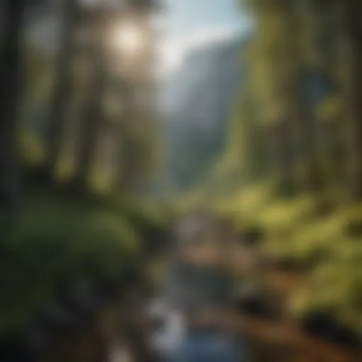 Lush Forests and Mountains of the National Park Panoramic view of the national park showcasing its lush forests and mountainous terrain.