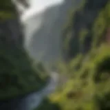 Stunning view of the Columbia River winding through the gorge with lush greenery on both sides