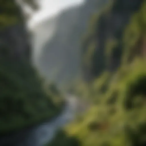 Stunning view of the Columbia River winding through the gorge with lush greenery on both sides