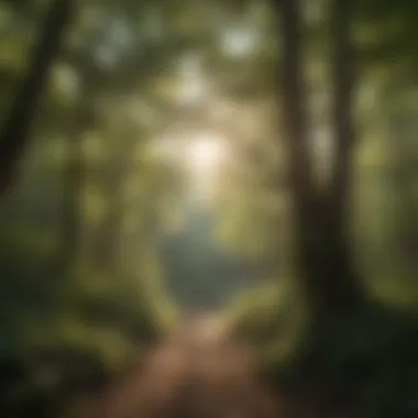 Lush forest canopy in Kentucky wilderness