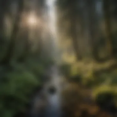 Natural landscapes of Cowlitz County