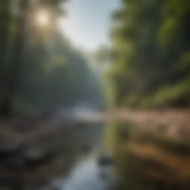 Serenity at Cumberland Falls Scenic view of Cumberland Falls RV Campground nestled in a forest