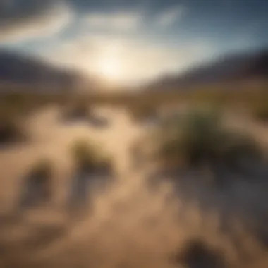 Scenic desert landscape within Death Valley National Park