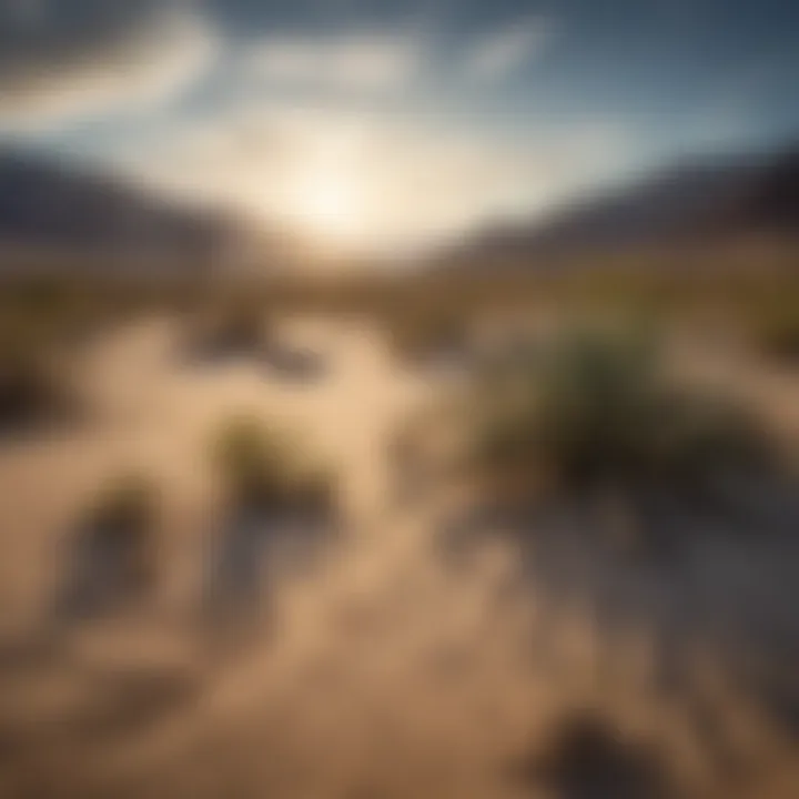 Scenic desert landscape within Death Valley National Park