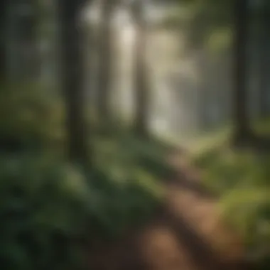 Diverse Flora of Deerhaven Lush forest landscape showcasing diverse flora in Deerhaven