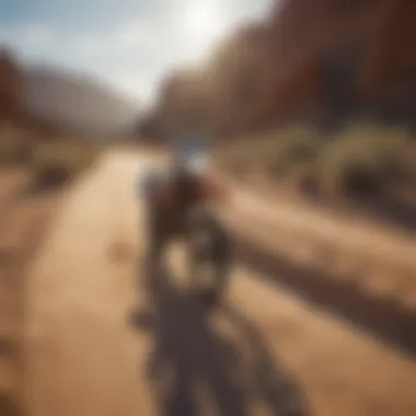 Sandy Arid Expedition Desert Landscape Dirt Bike Trail