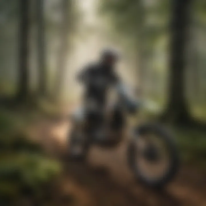 Scenic Forest Dirt Bike Trail