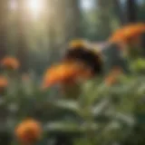 Bumblebee pollinating a vibrant flower