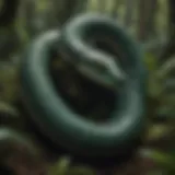 Sleek Serpent Coiled in Jungle