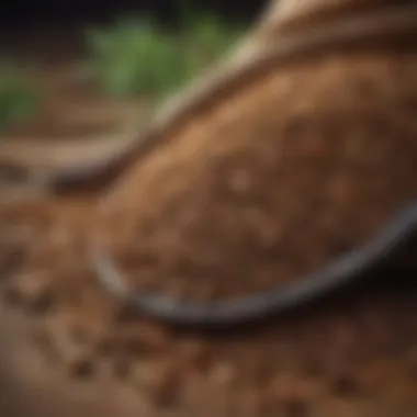 Cumin Seeds - Earthy Flavor Gems