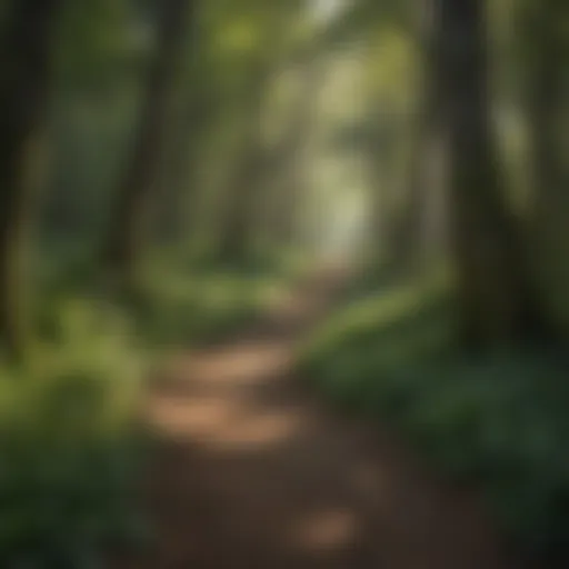 Lush greenery along the Eagle Creek Park Trail
