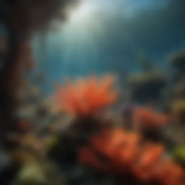 Vibrant Coral Reef with Endangered Marine Plants