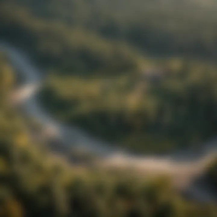 Aerial view of endangered species conservation site