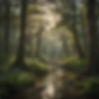 Nature's Poetry in South West Louisiana Majestic Natural Landscapes of South West Louisiana