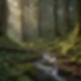 Stunning view of Olympic National Park's lush forests