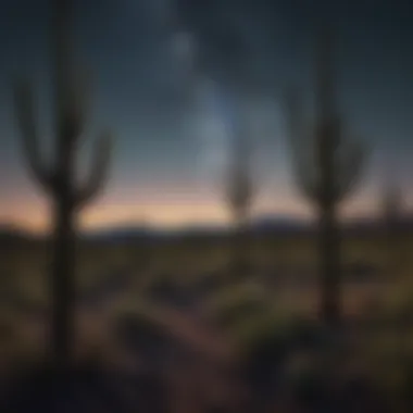 A group of saguaros silhouetted against a starry night sky