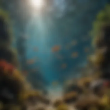 Diversity of Fish Species Underwater A vibrant underwater scene depicting various fish species cohabitating in Shasta Lake's ecosystem.