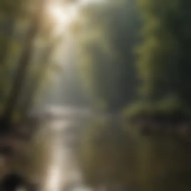 Angler casting line in a flowing river