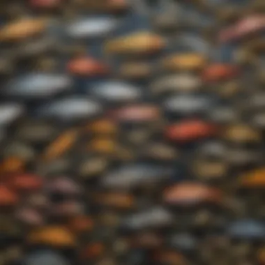 Diverse fish species found in the waters of the Flathead River