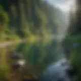 Lush scenery along the Flathead River showcasing its natural beauty