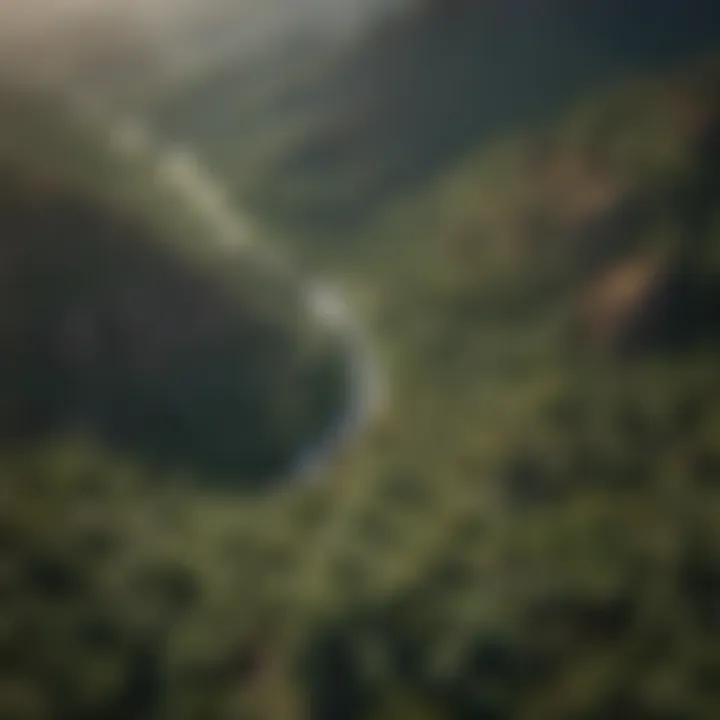 Aerial view of lush green forests in Arizona