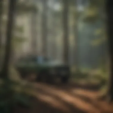 Workshop on Forest Management Techniques An educational workshop on forest management techniques, aimed at aspiring forest service professionals.