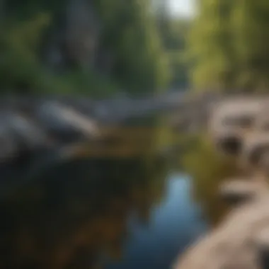 The unique geological formations along the riverbanks showcasing the park's natural beauty