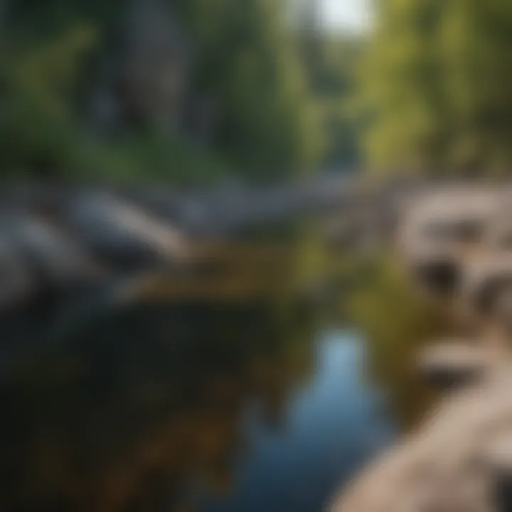 The unique geological formations along the riverbanks showcasing the park's natural beauty