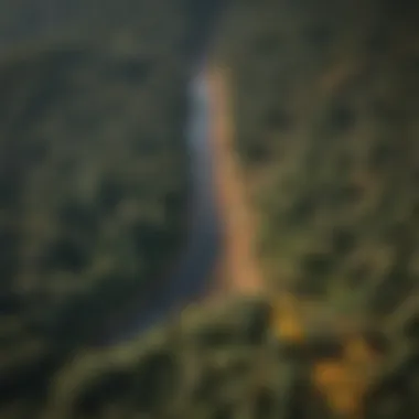 Aerial view of a dense American forest showcasing diverse ecosystems