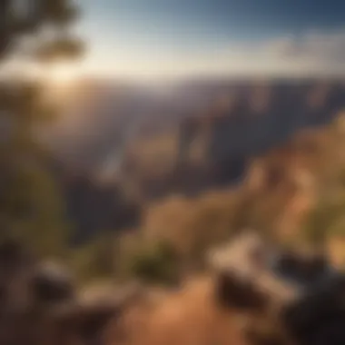 Breathtaking Views from Picnic Areas A panoramic view of the Grand Canyon with picnic areas overlooking the vast landscape