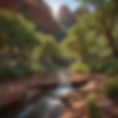 Sedona's Enchanted Oasis Sedona's Enchanted Oasis