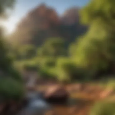 Verdant Serenity of Sedona Verdant Serenity of Sedona