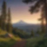 Breathtaking view of Mount Hood from a scenic overlook