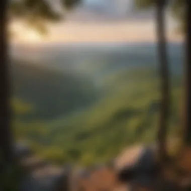 A panoramic vista from a hiking summit, capturing the beauty of the Shenandoah Valley.