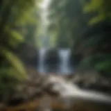 A serene waterfall cascading through lush greenery in Kentucky