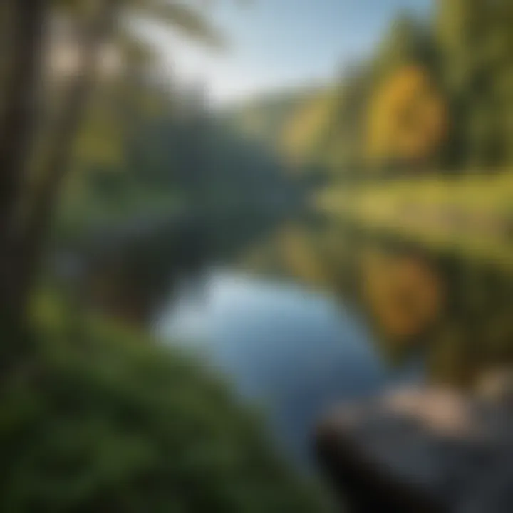 Scenic Vista Overlooking a Serene Lake A scenic vista overlooking a serene lake from a hiking trail