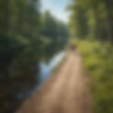 Wide view of a horse trail overlooking a serene lake