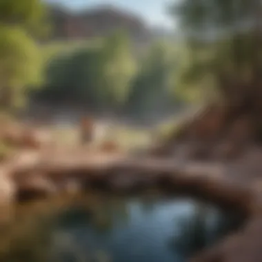 Visitors Enjoying Jemez Hot Springs Visitors enjoying the natural hot springs in a tranquil setting